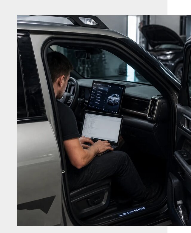 Русификация BYD Leopard 3 в Элисте по цене от 20608 р. | ФастМобиль-Элс